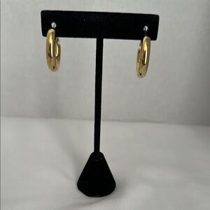 Elegant Gold Hoop Earrings
